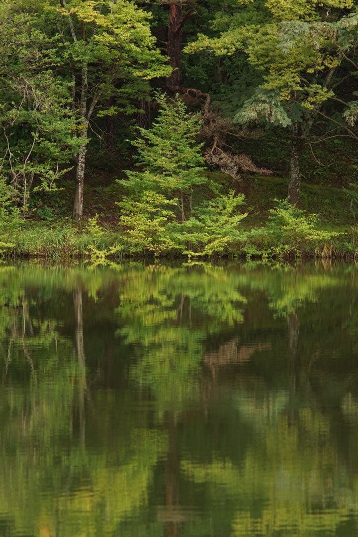 作例付き　 PENTAX smc PENTAX67 300mmF4 管mpr