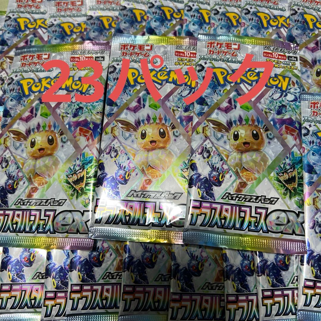 テラスタルーフェス23パック