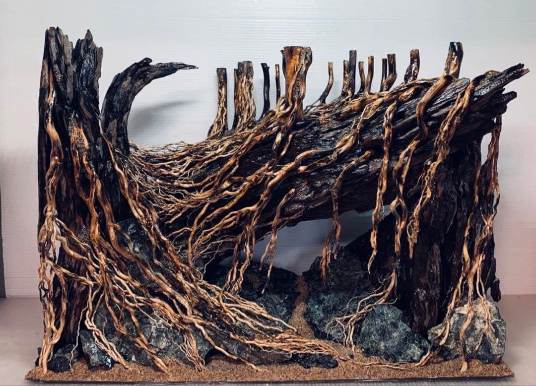 TTD 15690 【⭐︎ リく様⭐︎】【美品・数量限定】