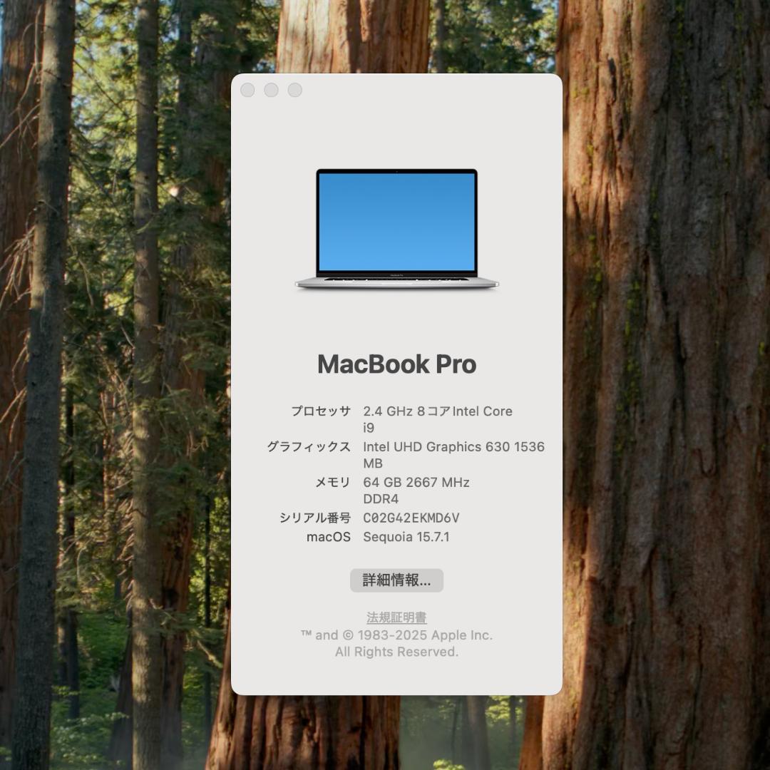 超美品 64GBメモリ/Core i9搭載 16インチ MacBook Pro☆