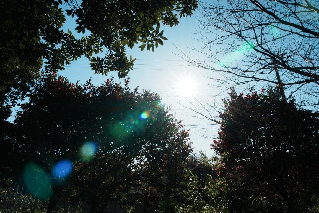 【テスト済安心】SONY SEL2470GM ソニー大三元ズーム 605