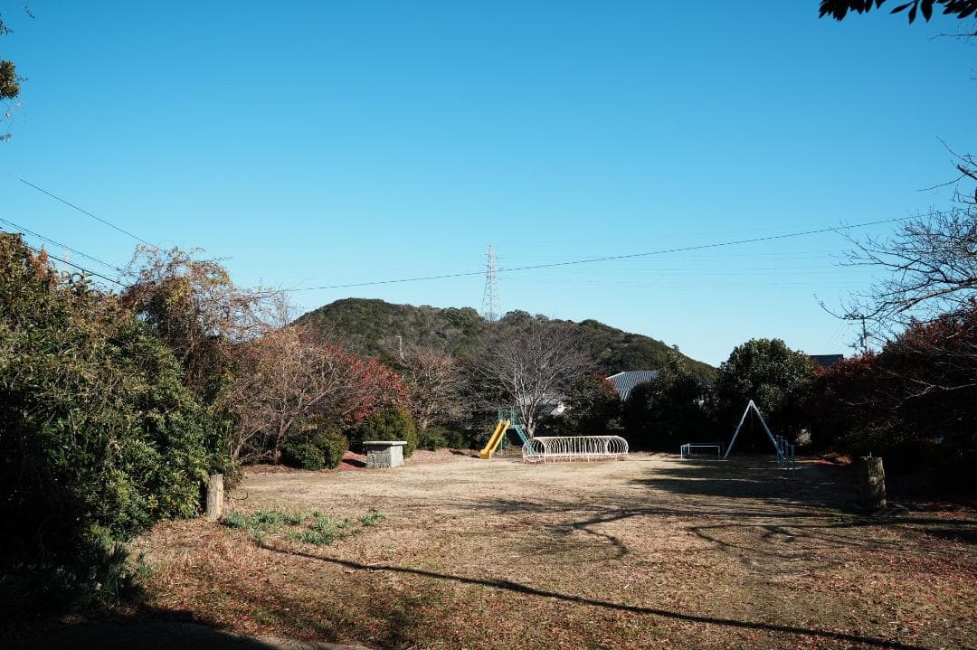 【テスト済安心】SONY SEL2470GM ソニー大三元ズーム 605