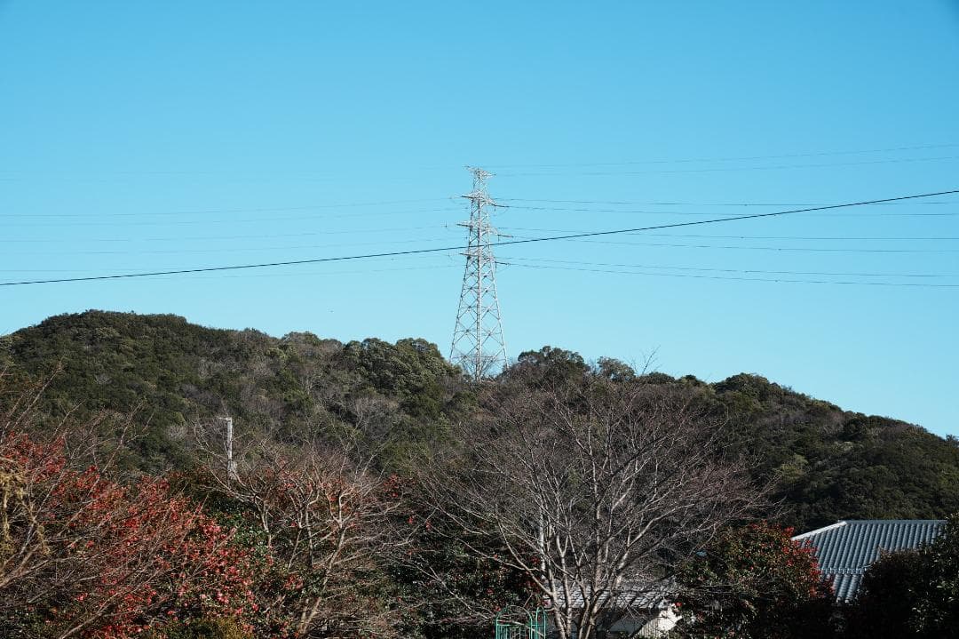 【テスト済安心】SONY SEL2470GM ソニー大三元ズーム 605