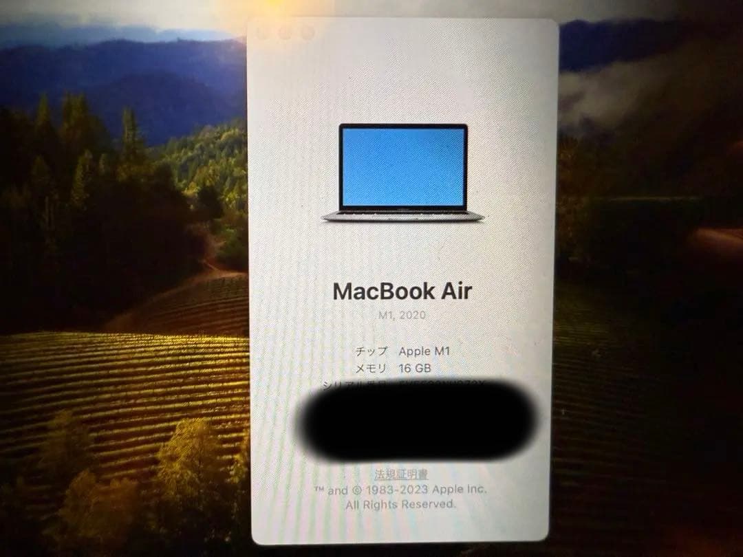 MacBook本体 Apple MacBook Air M1(16GB/1TBSSD)