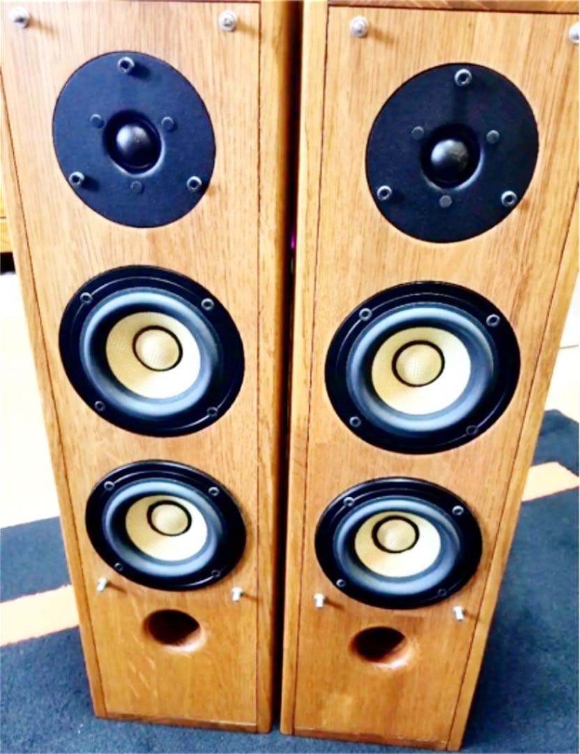 Pioneer S-PM300 2個