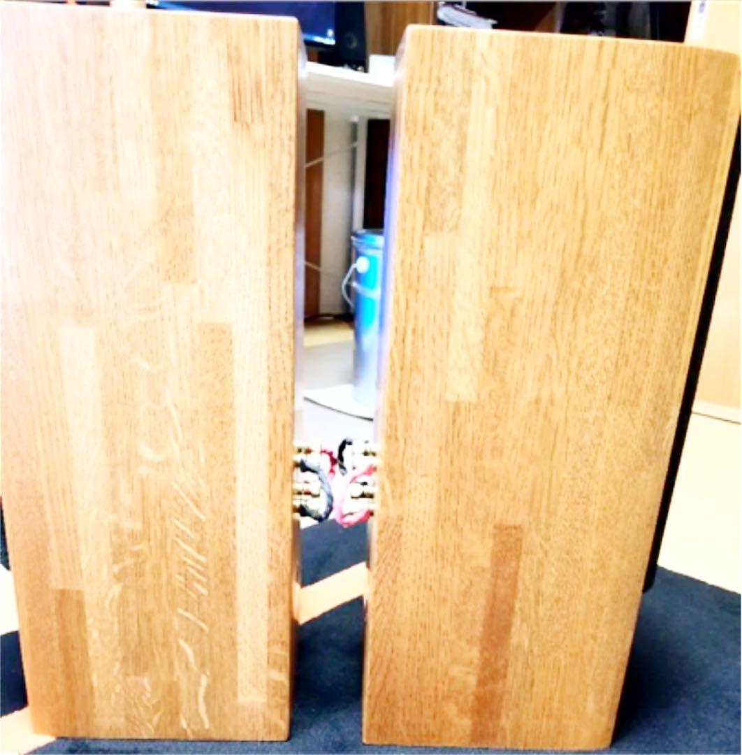 Pioneer S-PM300 2個