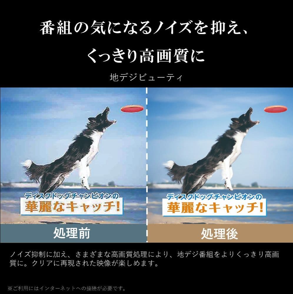 REGZA 50V型 4K液晶テレビ2023年製