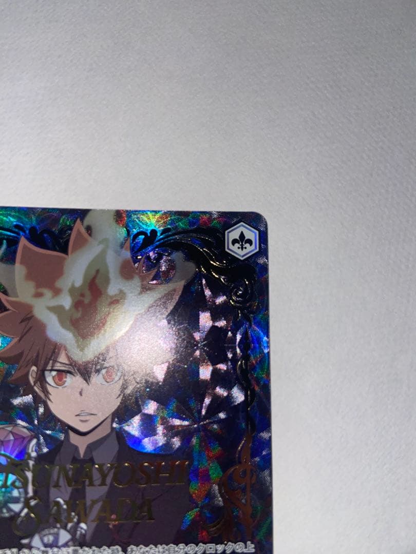 家庭教師ヒットマンREBORN! ヴァイスシュヴァルツ ブースターパック沢田綱吉