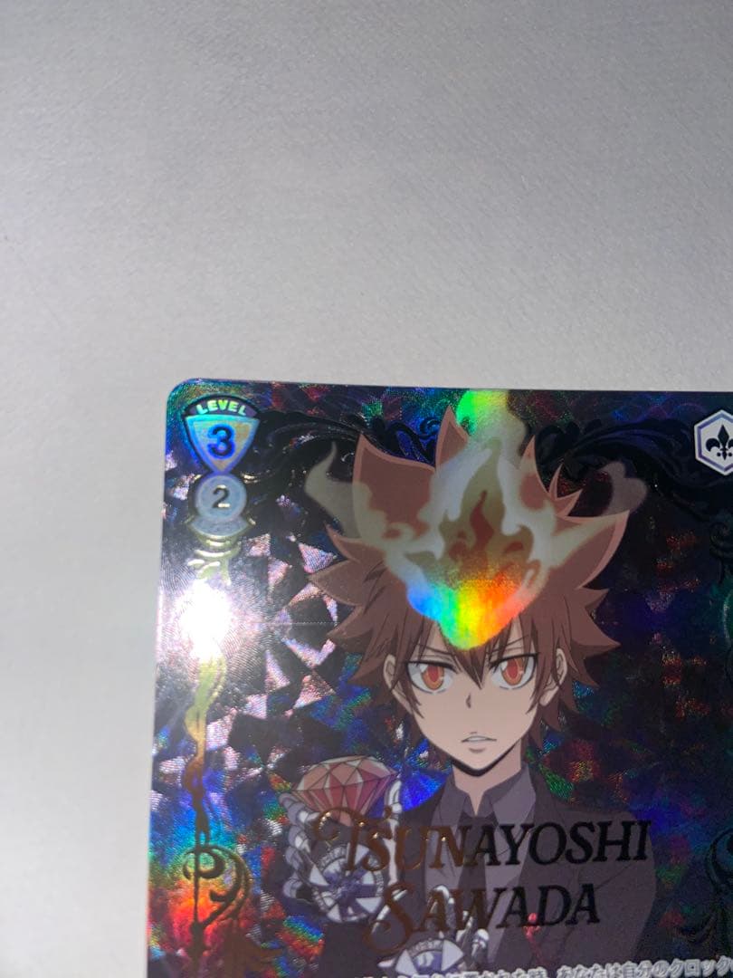 家庭教師ヒットマンREBORN! ヴァイスシュヴァルツ ブースターパック沢田綱吉