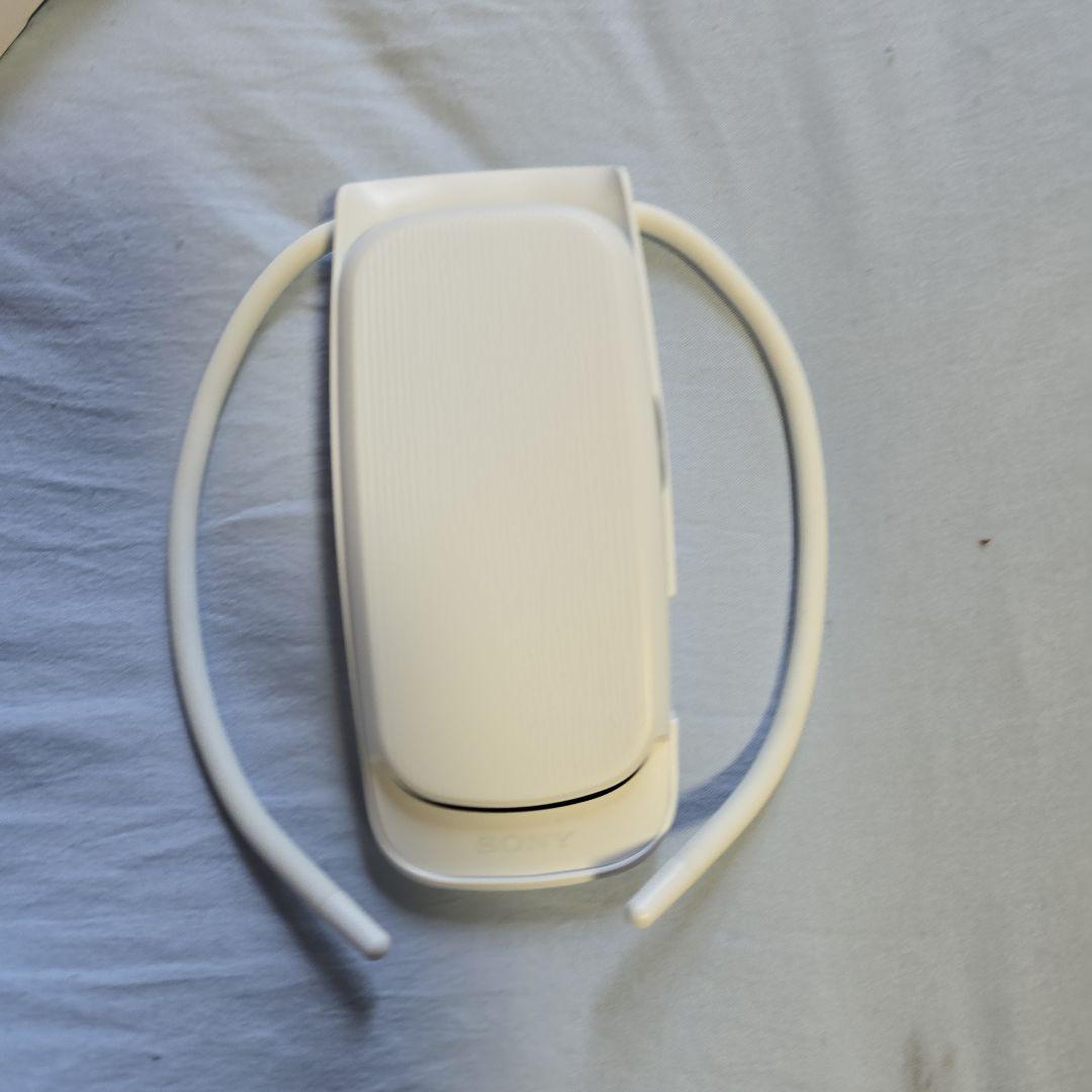 その他 SONY REON POCKET 4