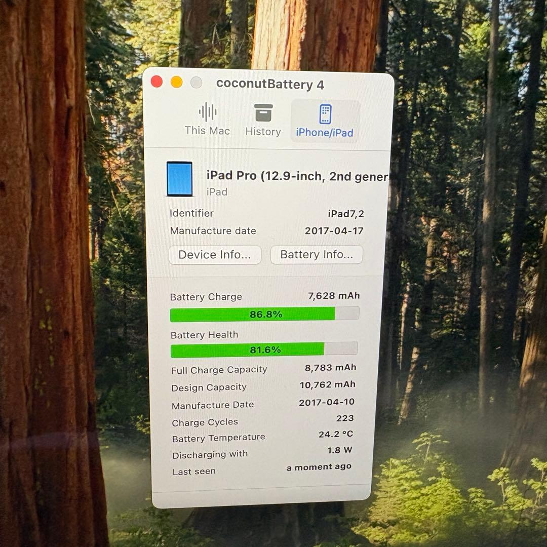 iPad Pro (12.9インチ) 第2世代 256GB セルラー