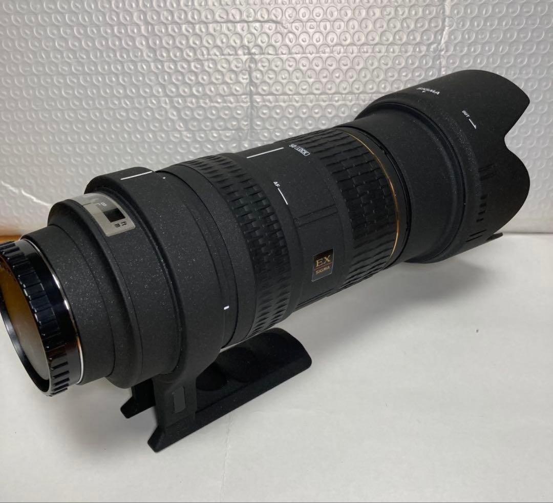 SIGMA APO 50-500mm F4-6.3 EX SONY用
