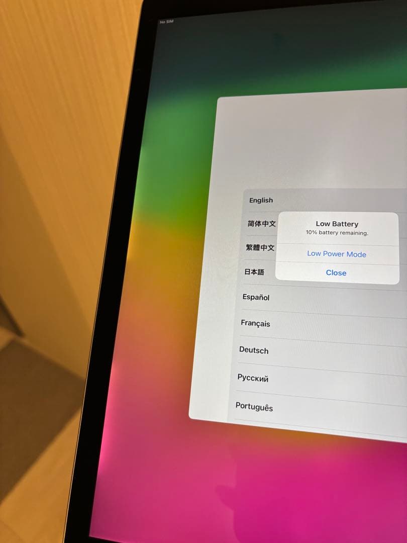 iPad本体 iPad Pro 12 9-inch Cellular (2017) 256GB