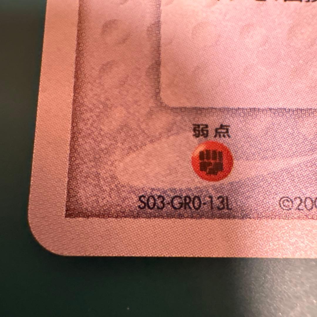 ポケパークのゴンベ ポケパークプレミアムファイル 008/009