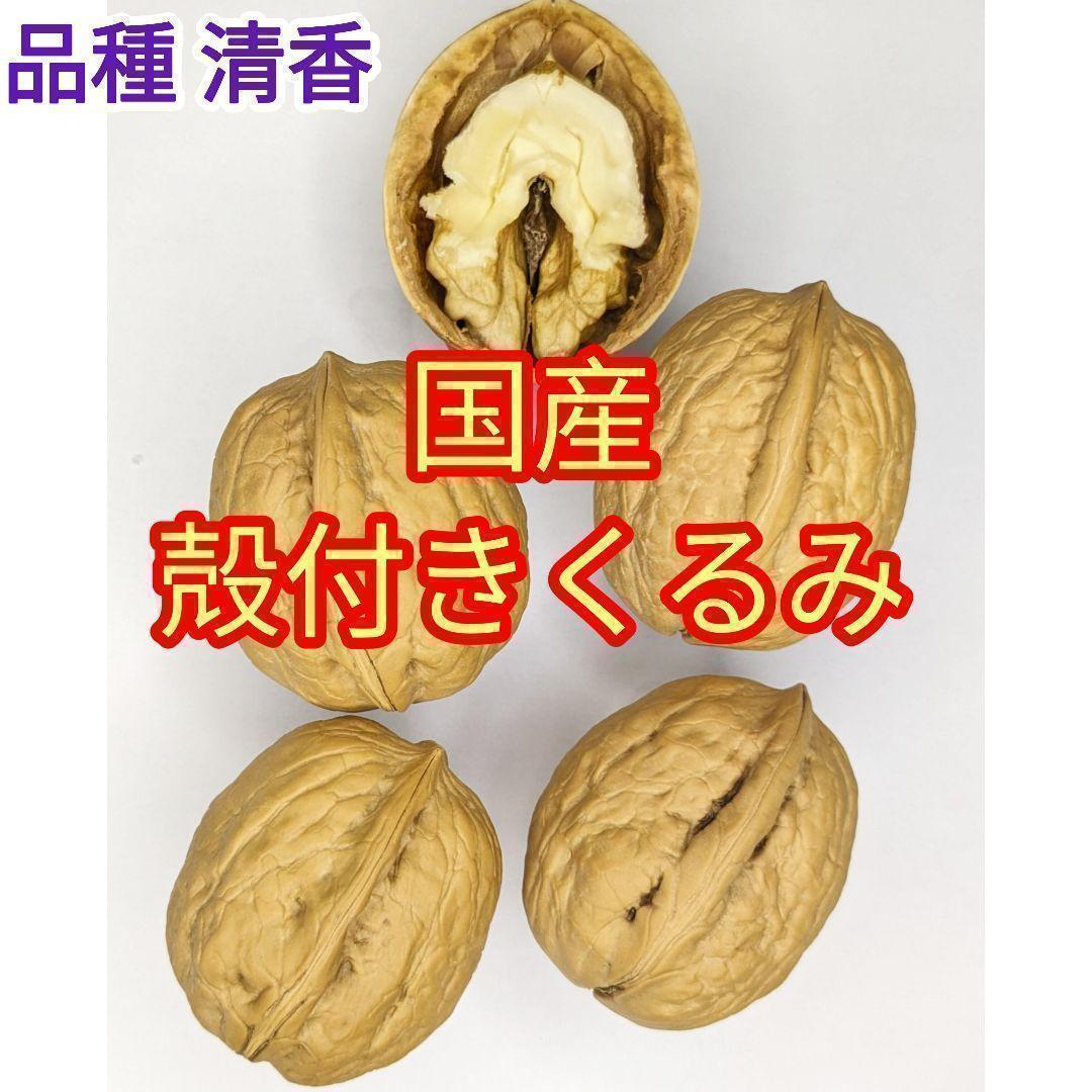 【かおりん商品 】 限定セール 殻付きくるみ 極小〜小サイズ 14kg