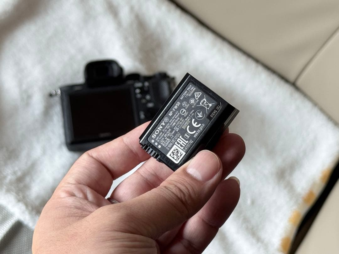 ichimasa さん限定SONY α7 II カメラ ボディー