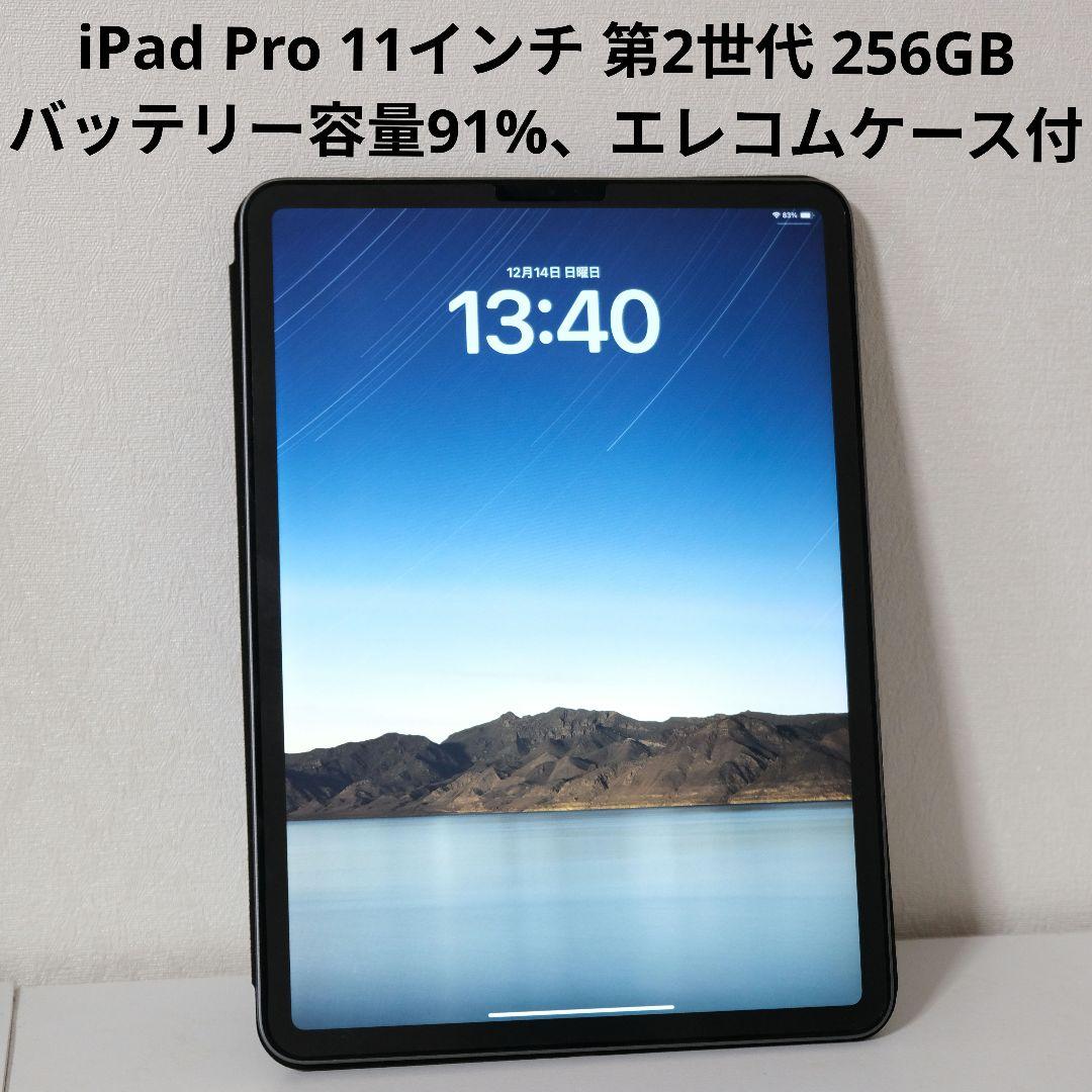 iPad Pro 11インチ（第2世代）256GB スペースグレー
