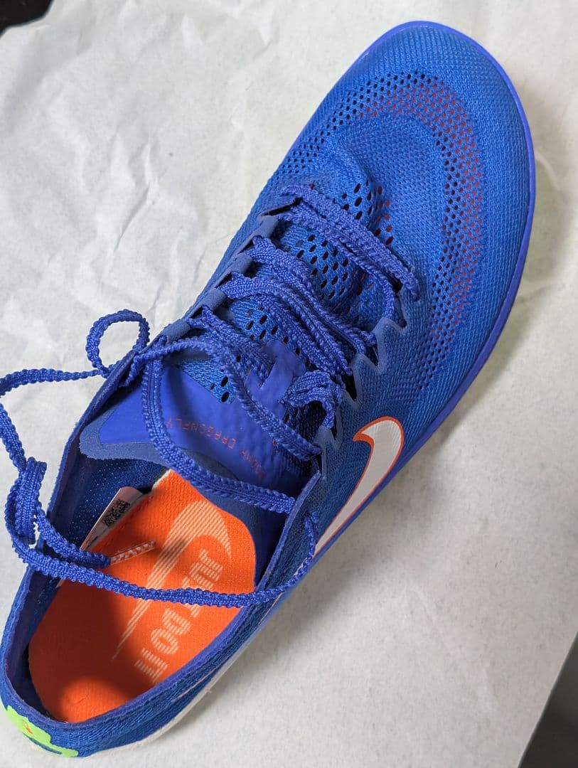 ナイキ ドラゴンフライ26.0cm