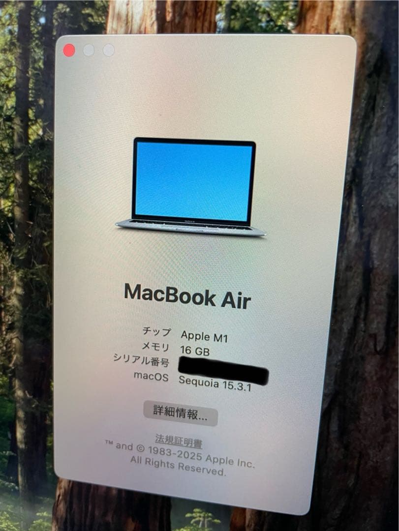 MacBook Air M1 16GB 512GB 充電回数358回 89%