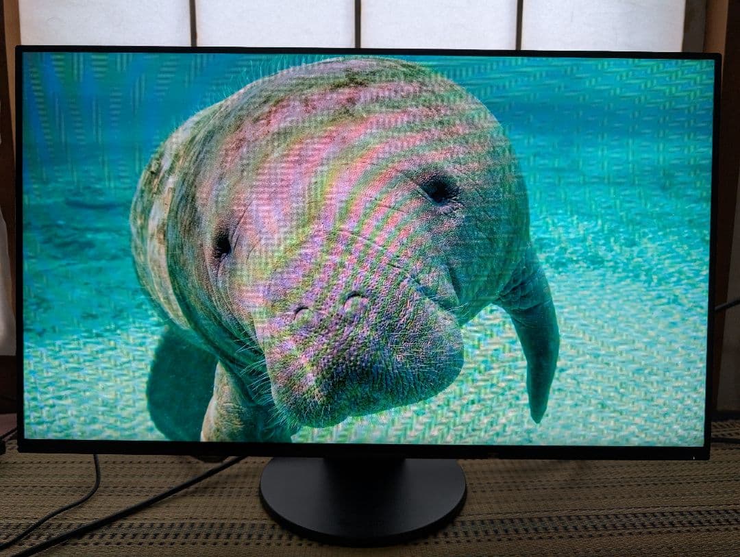 ディスプレイ・モニター本体 EIZO FlexScan EV2451 23.8inch