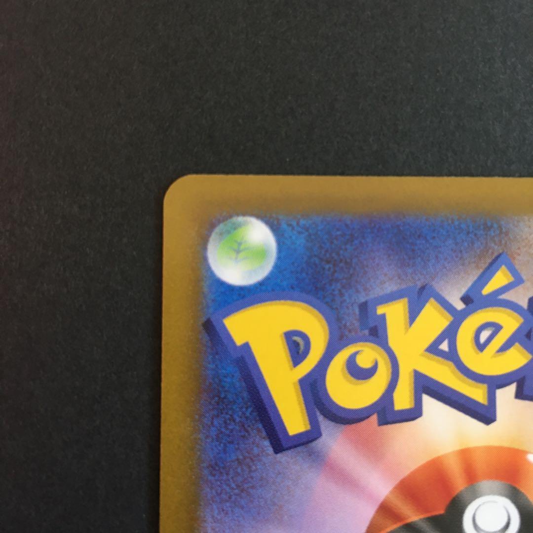 メイのはげまし　sar SAR