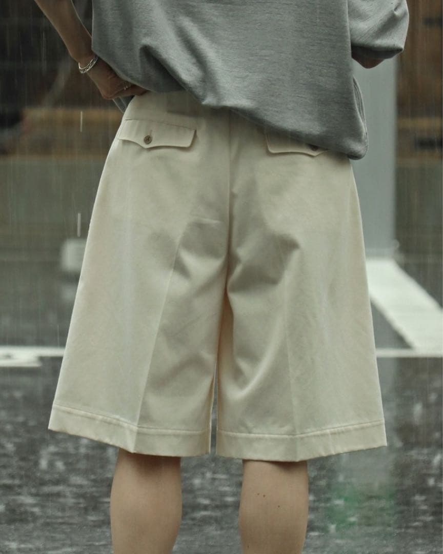 パンツ nanamica DOUBLE PLEAT CHINO SHORTS
