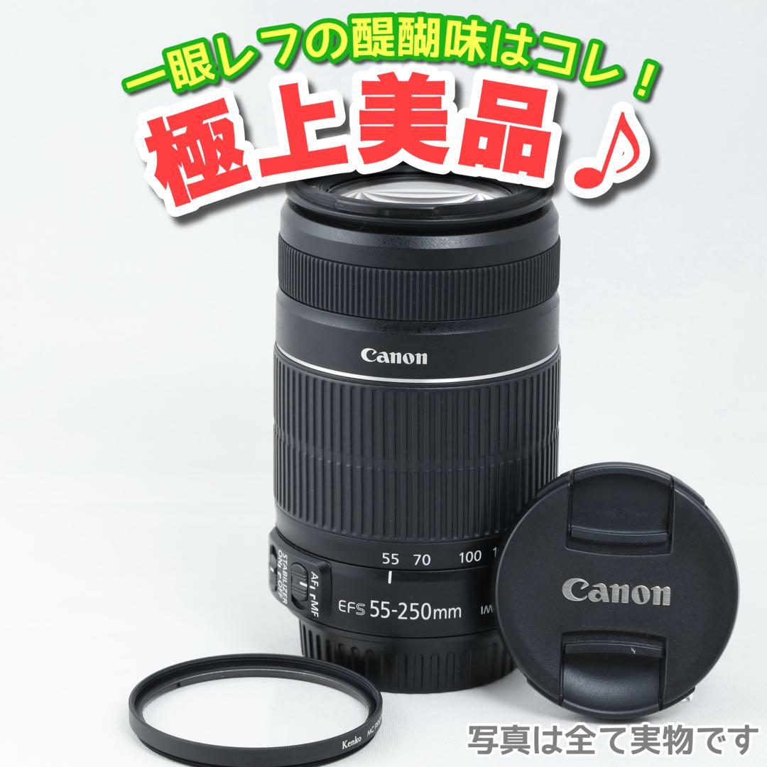193★EF-S55-250IS Ⅱ★CANONキヤノン★望遠ズームレンズ