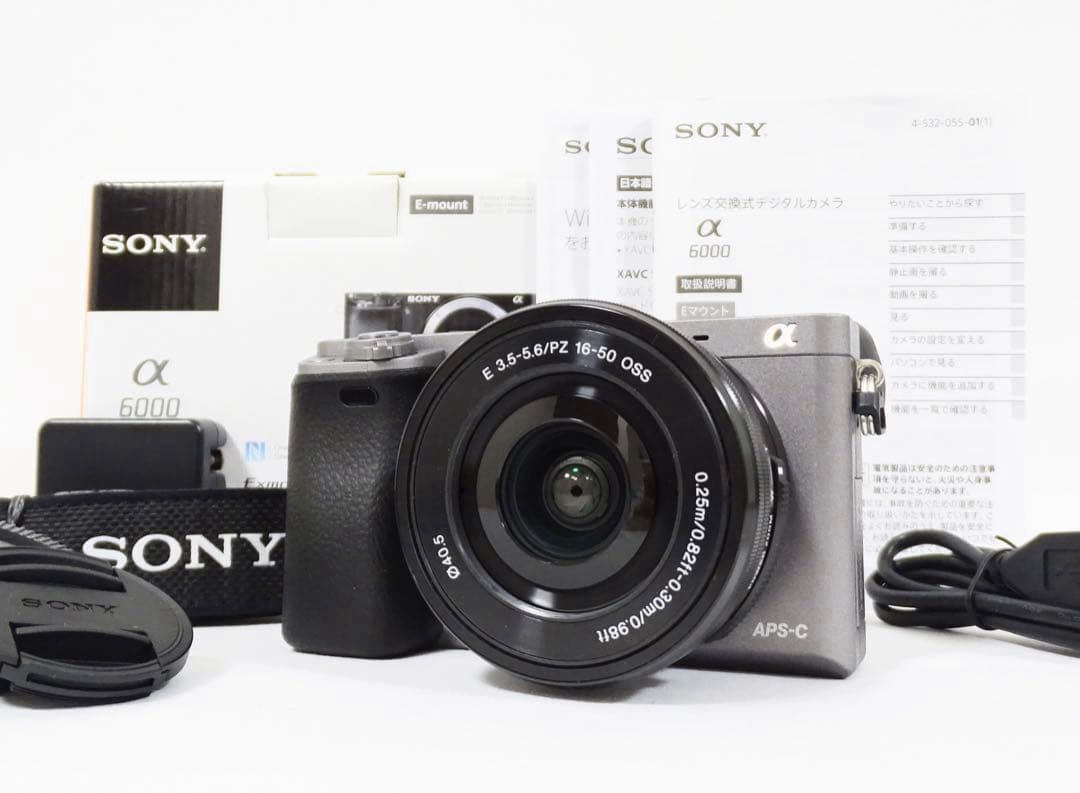 【希少・ショット232回】 SONY α6000 16-50 グラファイトグレー