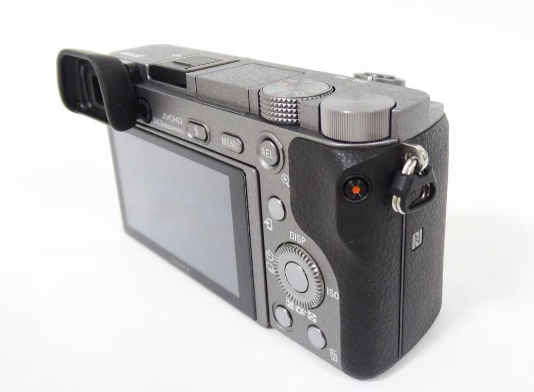 【希少・ショット232回】 SONY α6000 16-50 グラファイトグレー