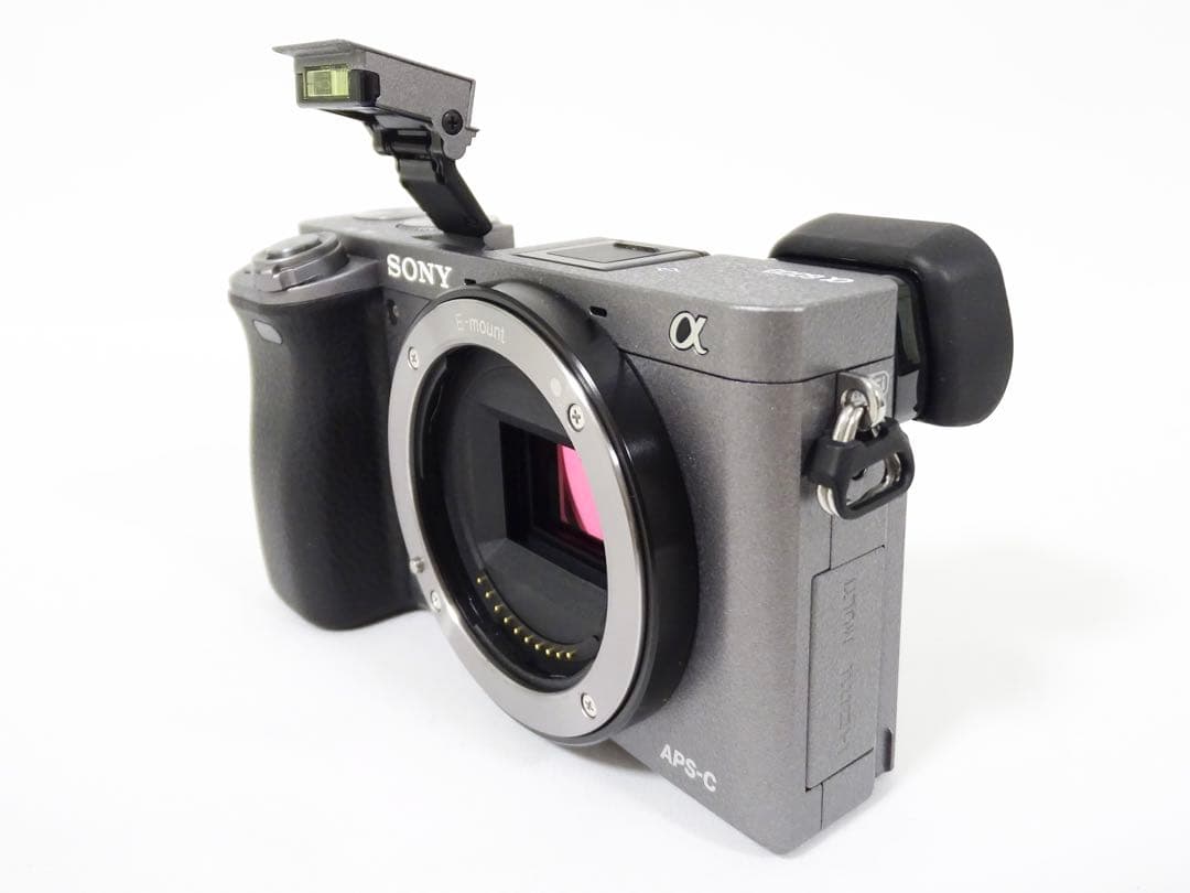 【希少・ショット232回】 SONY α6000 16-50 グラファイトグレー