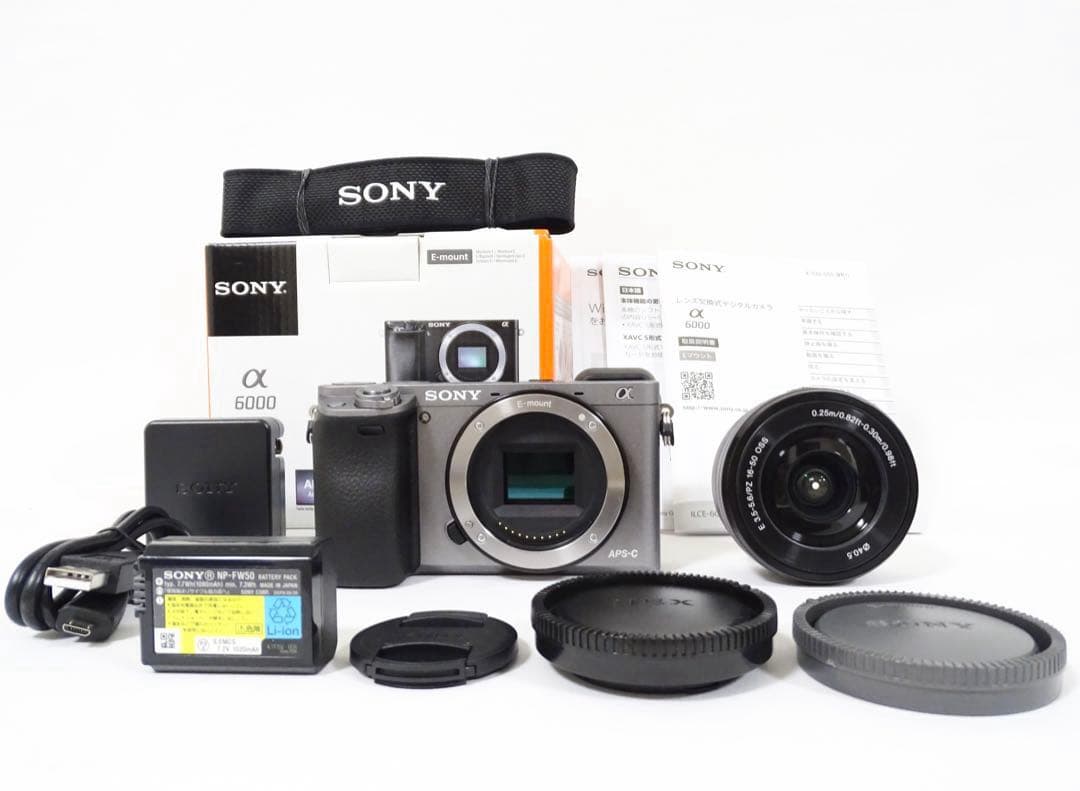 【希少・ショット232回】 SONY α6000 16-50 グラファイトグレー