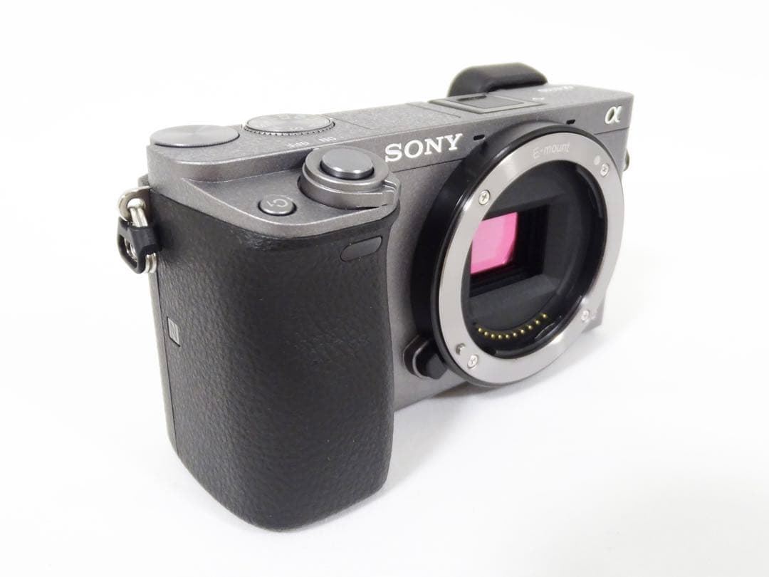 【希少・ショット232回】 SONY α6000 16-50 グラファイトグレー
