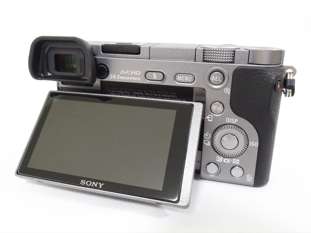 【希少・ショット232回】 SONY α6000 16-50 グラファイトグレー