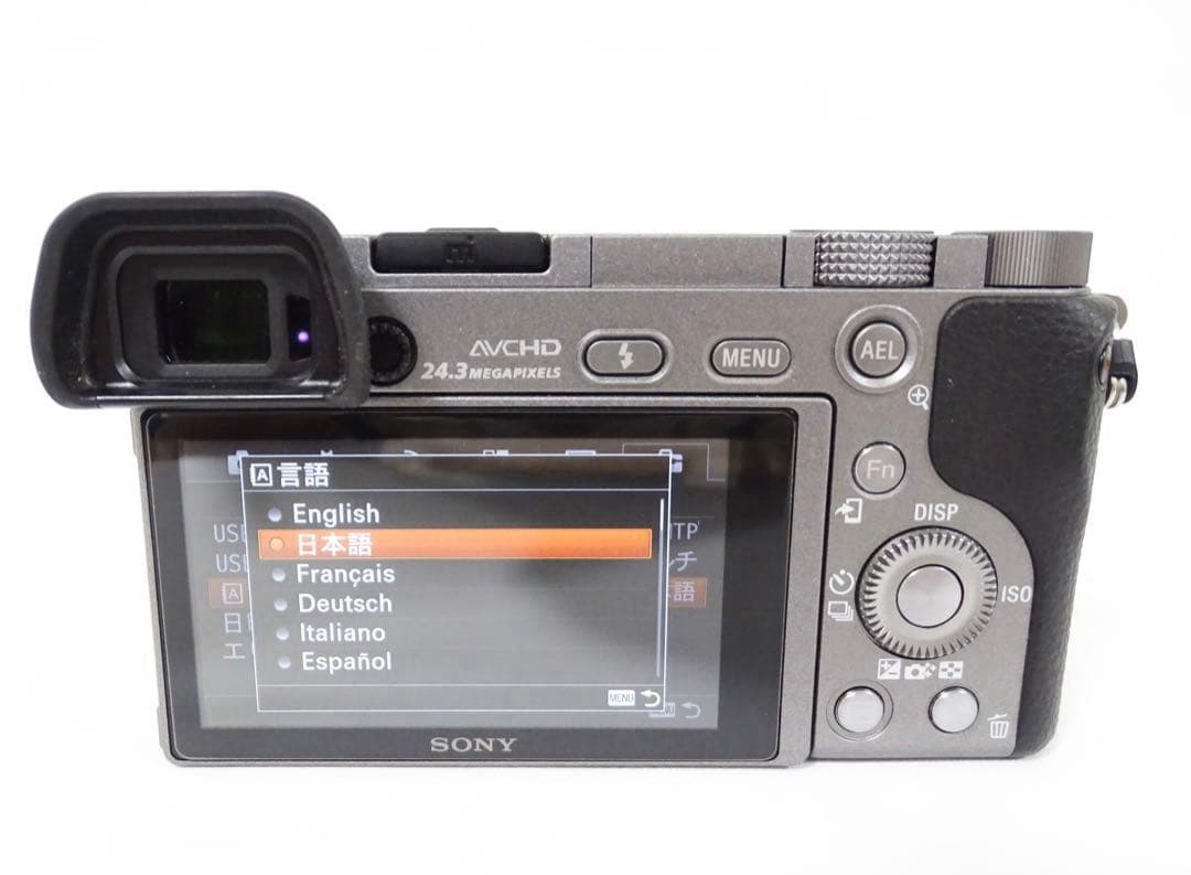 【希少・ショット232回】 SONY α6000 16-50 グラファイトグレー