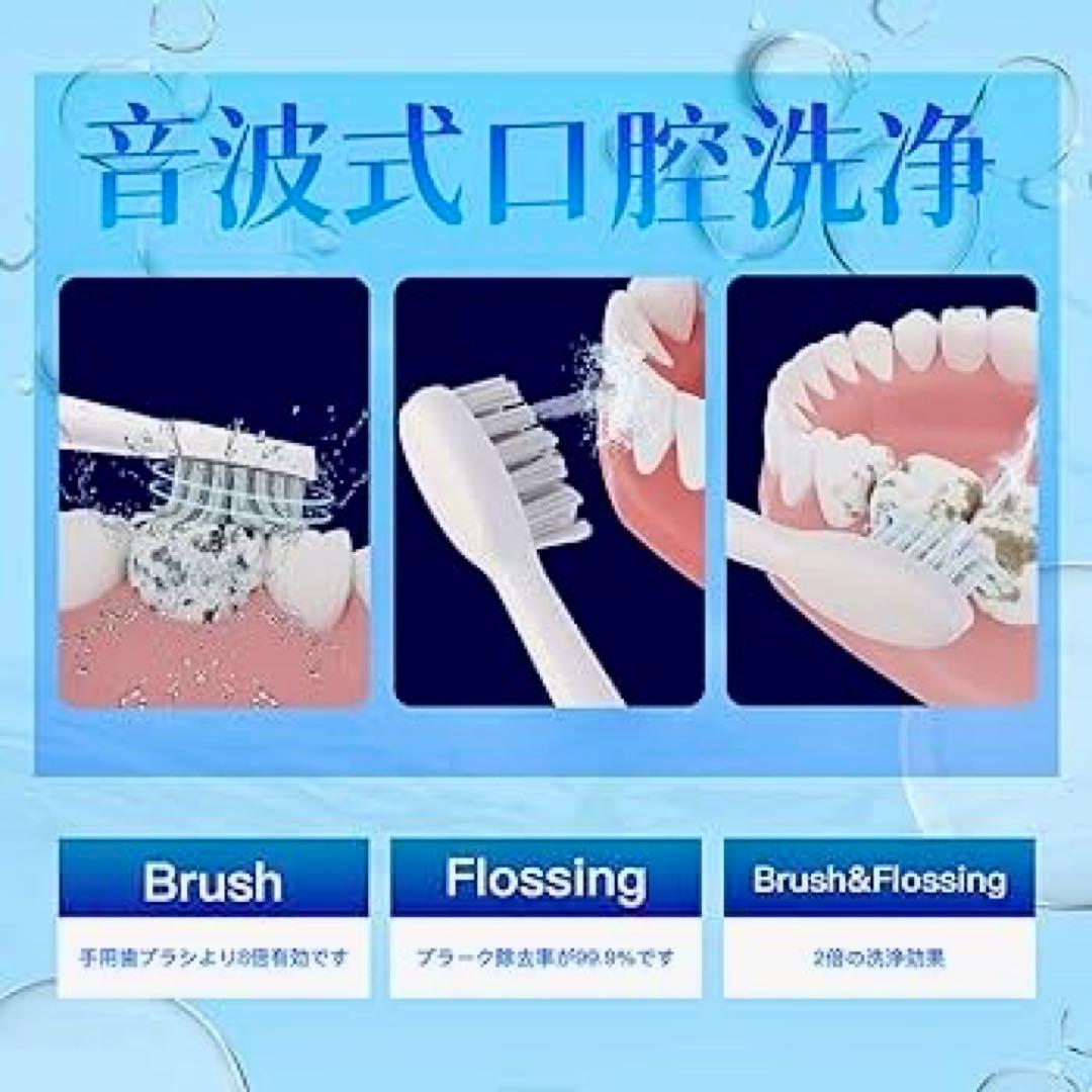 Water Sonic ジェットウォッシャー 一体型 電動歯ブラシ 大特価！！