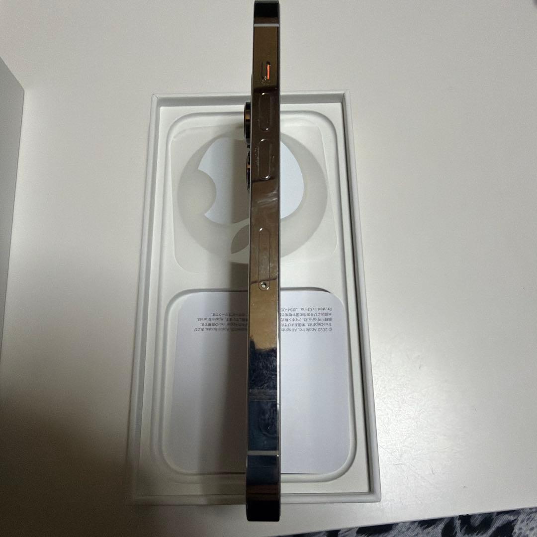 Apple iPhone 14 Pro シルバー 本体　256GB