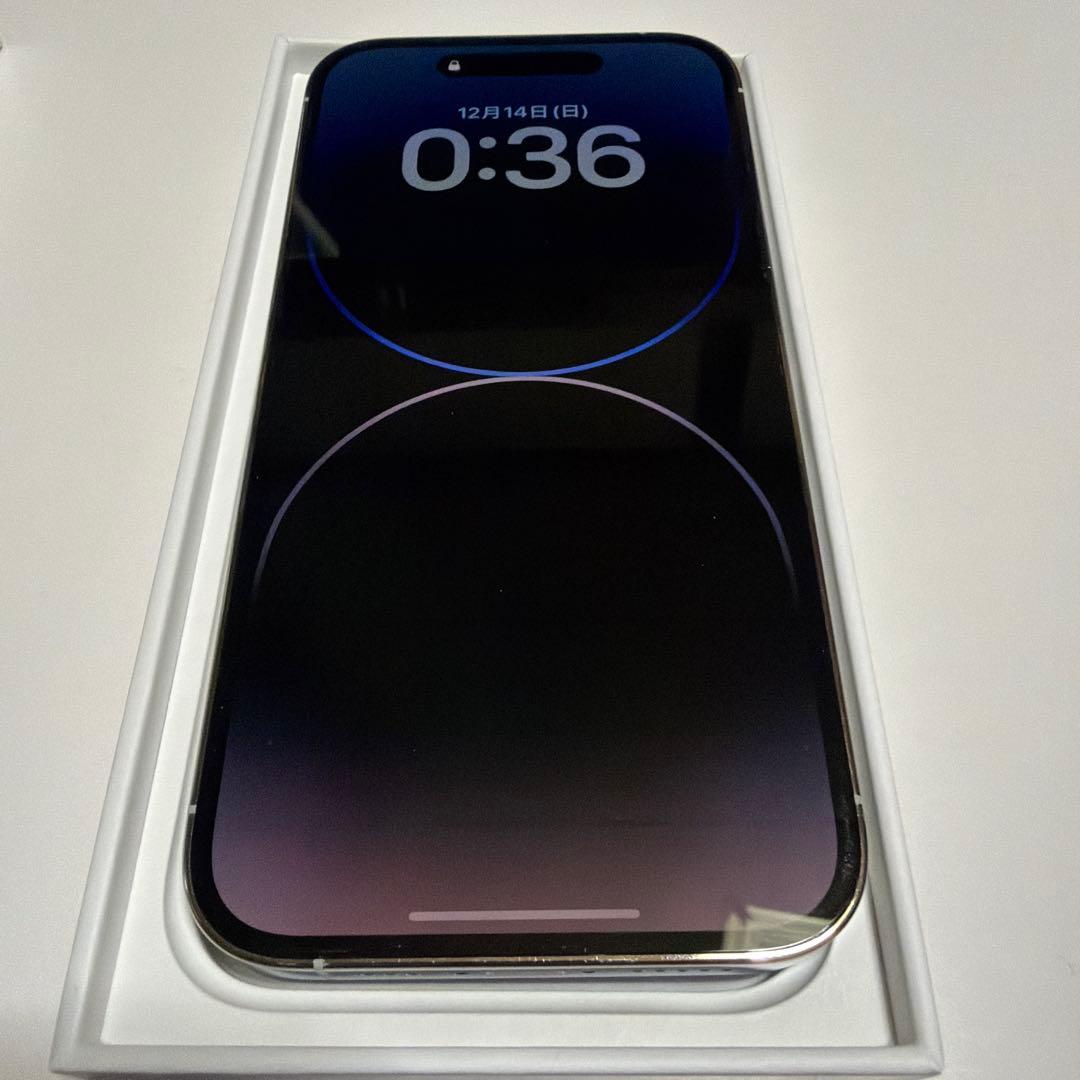 Apple iPhone 14 Pro シルバー 本体　256GB
