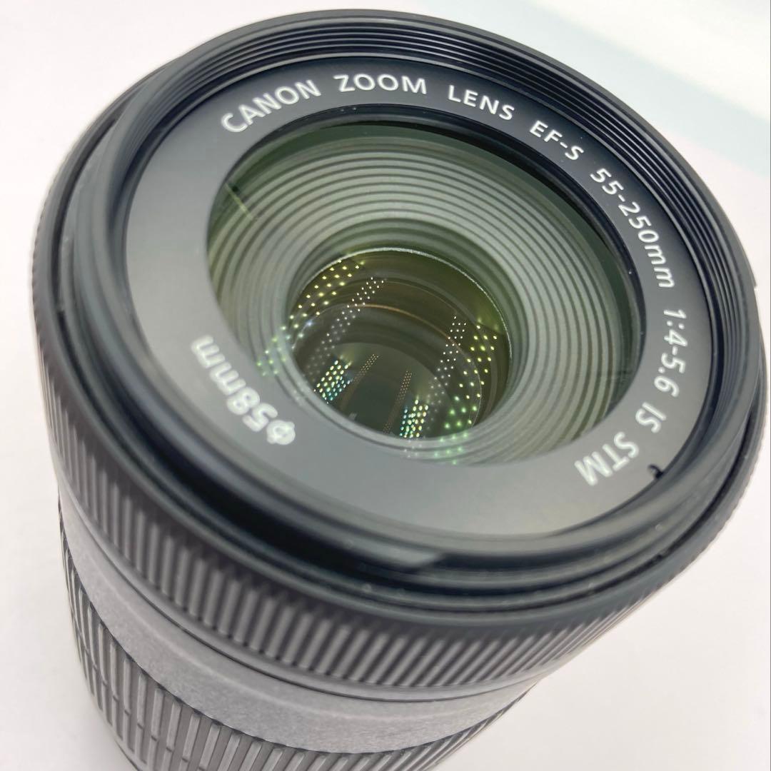 【完動品/返品保証】Canon EF-S 55-250mm IS STM 望遠