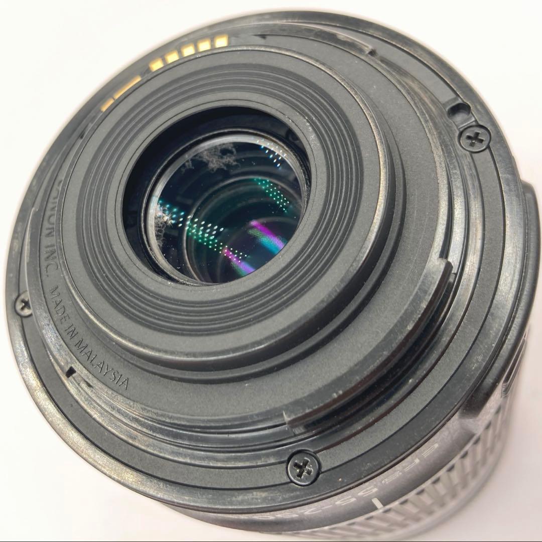 【完動品/返品保証】Canon EF-S 55-250mm IS STM 望遠