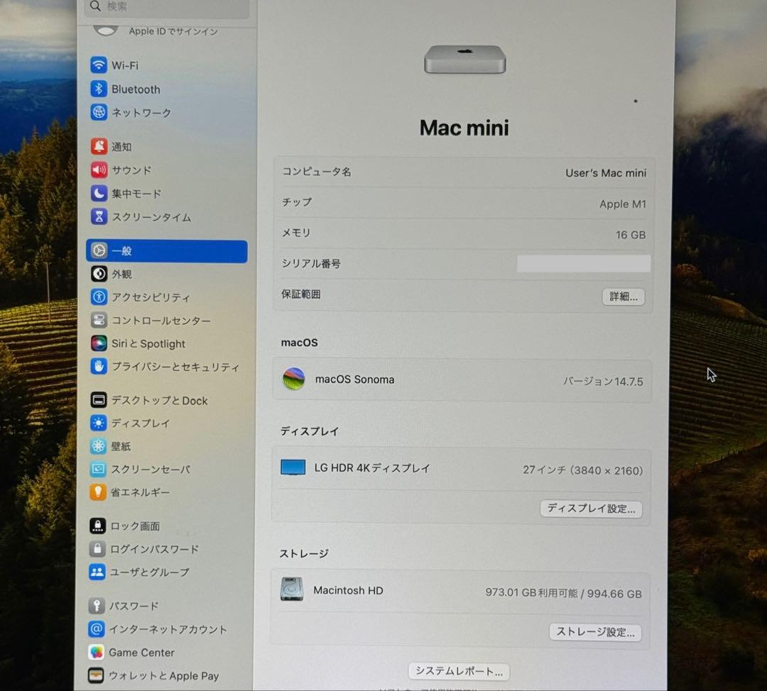 スマホ・タブレット・パソコン Mac mini 2020 M1 16GB 1TB