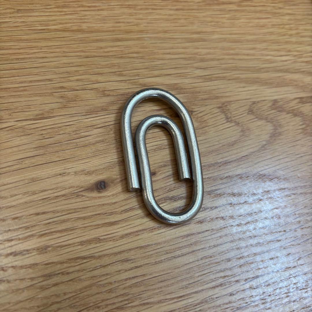 【超希少】SUNSEA クリップ