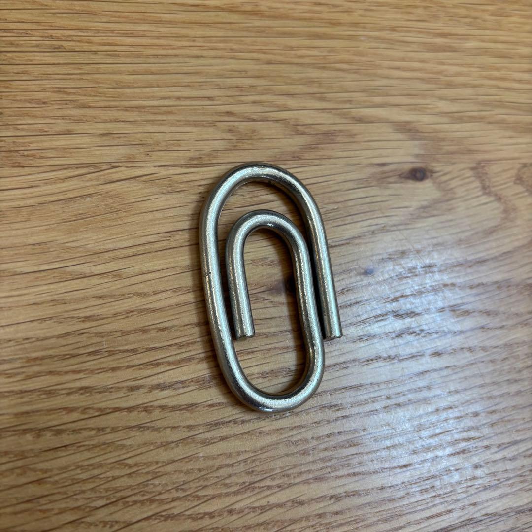 【超希少】SUNSEA クリップ