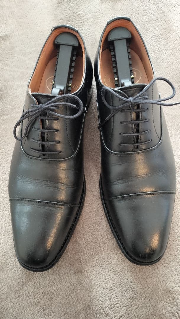 スコッチグレイン　シャインオアレイン25.0