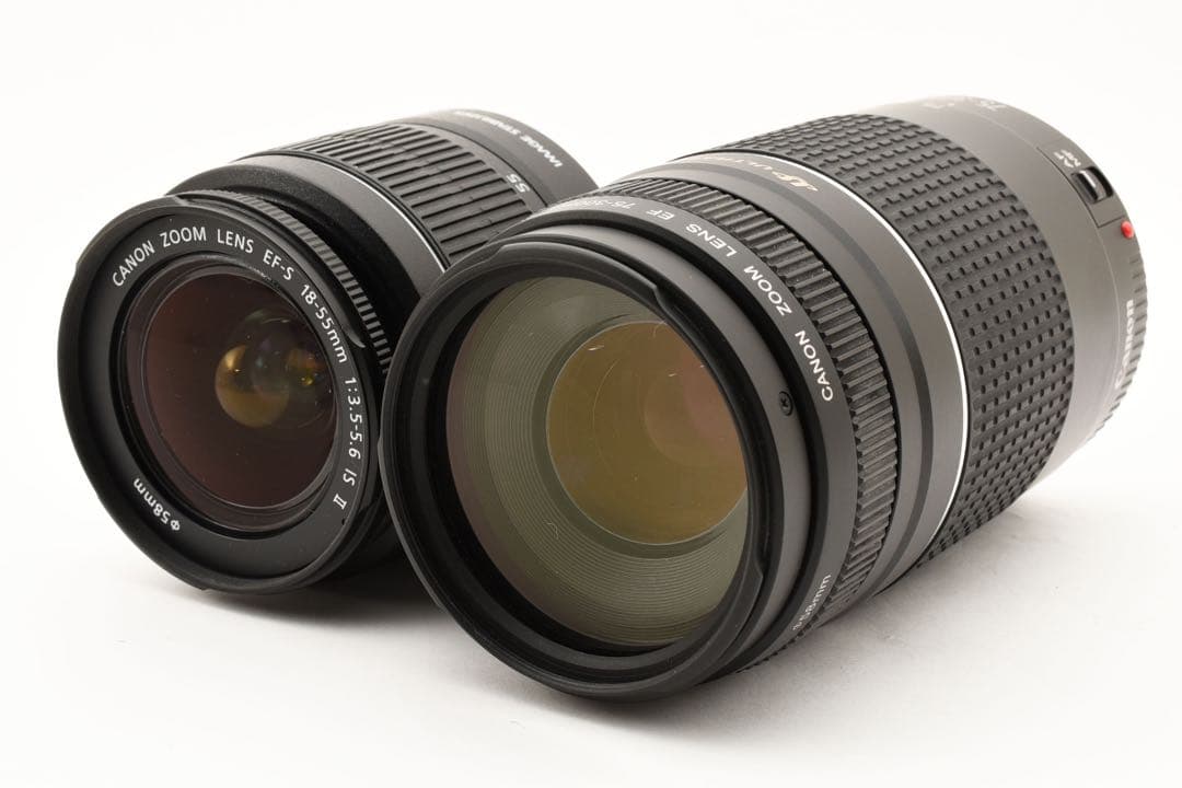 保証付き/Canon EOS 80D 標準&望遠ダブルレンズセット