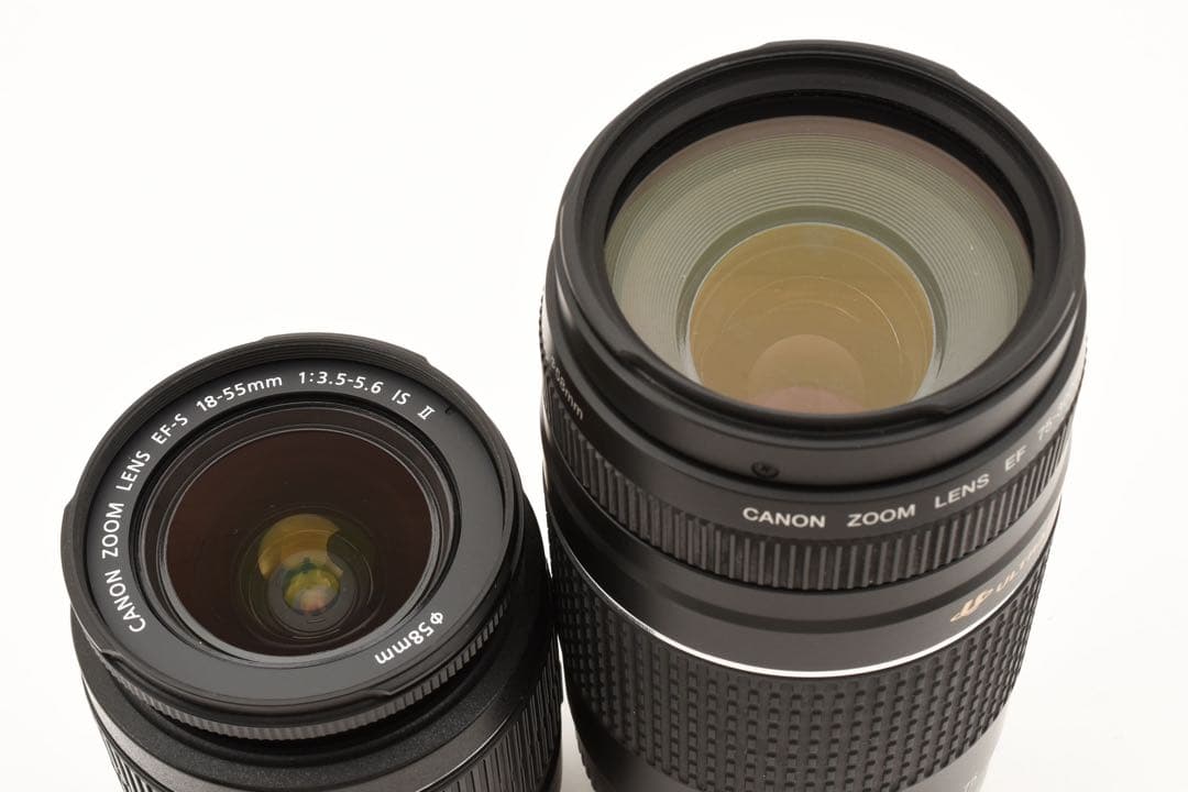 保証付き/Canon EOS 80D 標準&望遠ダブルレンズセット