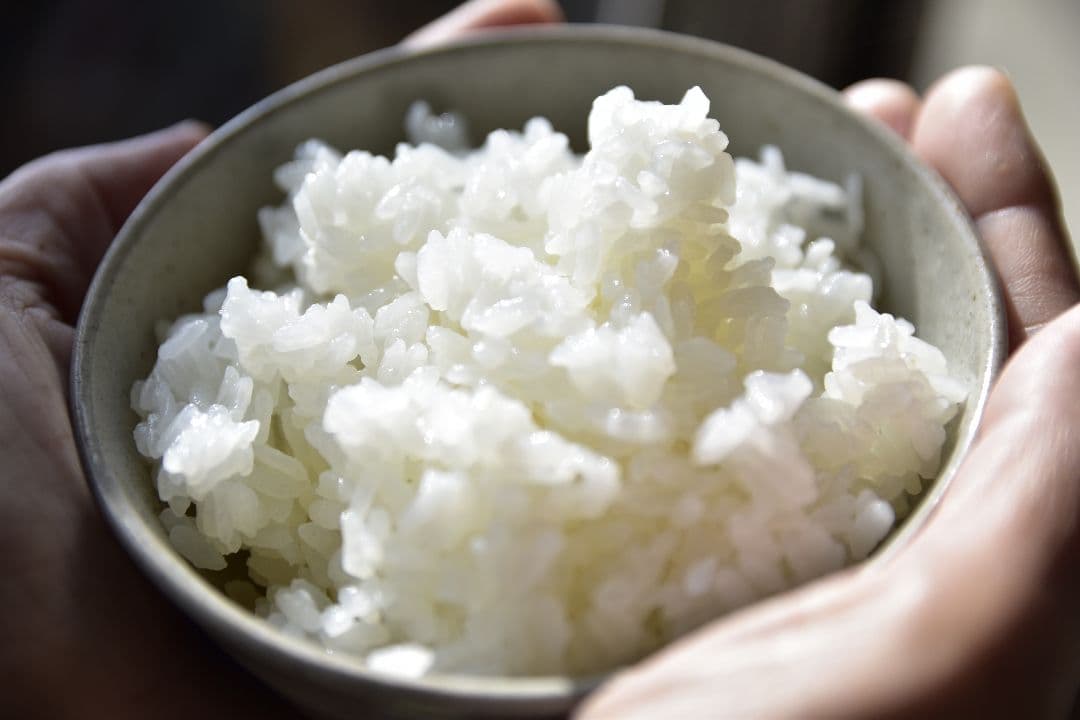 りっと⭐️無農薬白米コシヒカリ 10kg