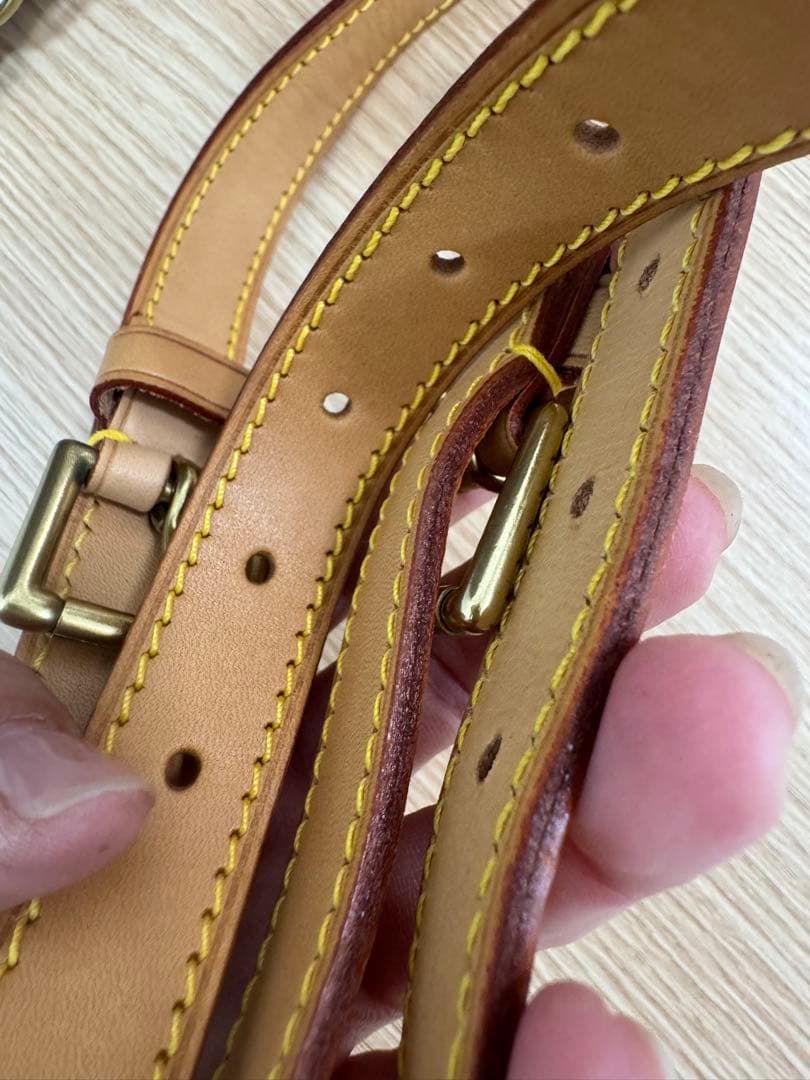 ルイヴィトン100周年記念限定　美品希少ダミエリュック✨週末値下げ