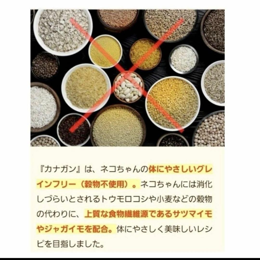 CANGAN カナガン 1.5kg×2袋