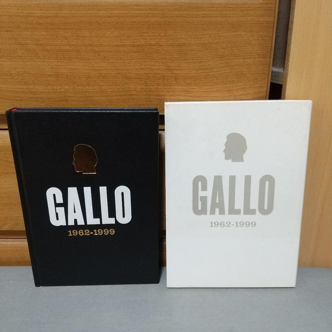 Vincent Gallo 1962-1999 ヴィンセント•ギャロ e3