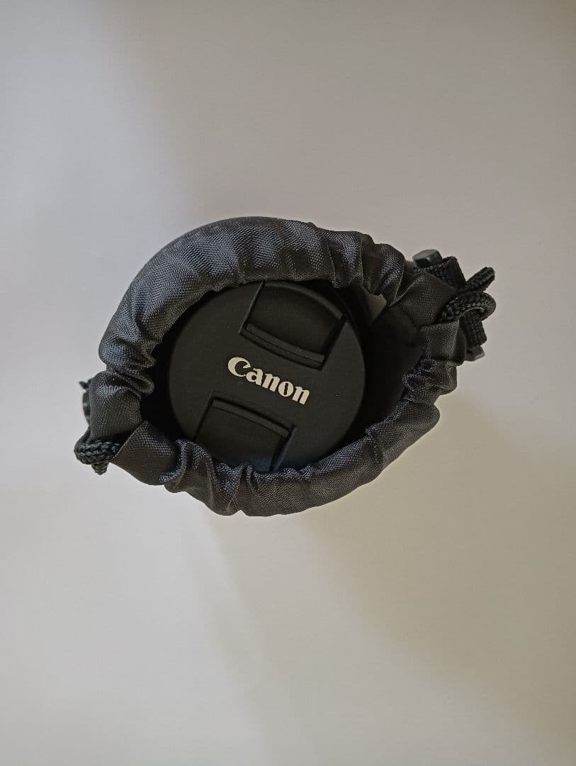 レンズ(単焦点) Canon EF-S 35mm f 2.8 MaCro IS STM